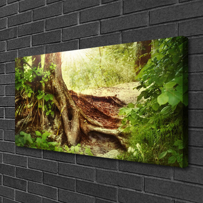 Photo sur toile Tronc d'arbre nature brun vert