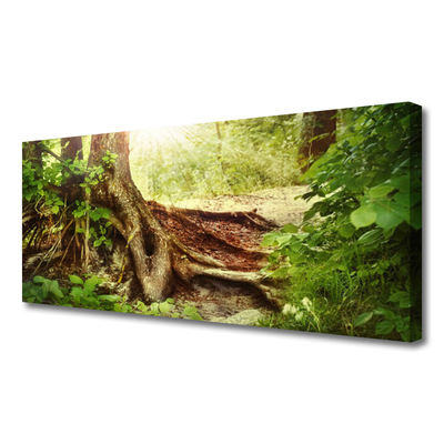 Photo sur toile Tronc d'arbre nature brun vert