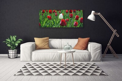 Photo sur toile Tulipes floral rouge blanc vert