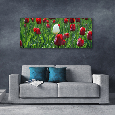 Photo sur toile Tulipes floral rouge blanc vert