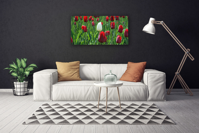 Photo sur toile Tulipes floral rouge blanc vert