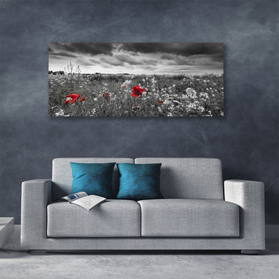 Photo sur toile Fleurs prairie nature gris rouge