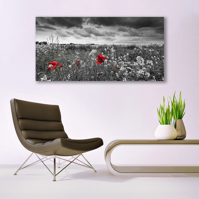 Photo sur toile Fleurs prairie nature gris rouge