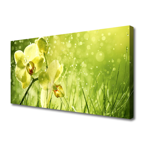 Photo sur toile Fleurs herbe floral vert