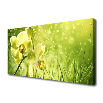 Photo sur toile Fleurs herbe floral vert