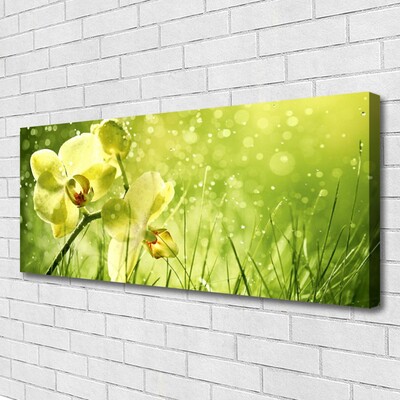 Photo sur toile Fleurs herbe floral vert