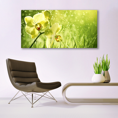 Photo sur toile Fleurs herbe floral vert