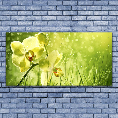 Photo sur toile Fleurs herbe floral vert