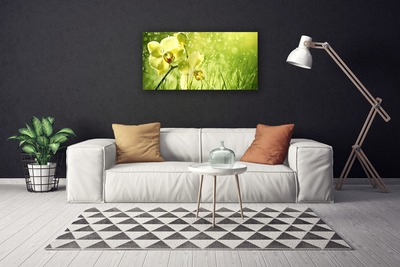 Photo sur toile Fleurs herbe floral vert