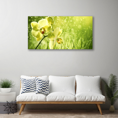 Photo sur toile Fleurs herbe floral vert