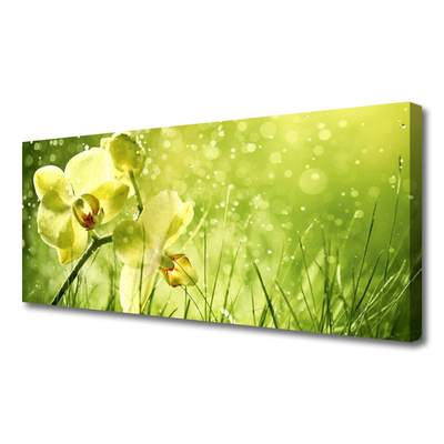 Photo sur toile Fleurs herbe floral vert