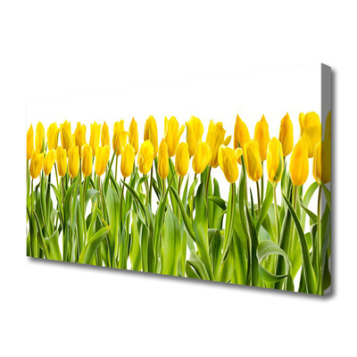 Photo sur toile Tulipes floral jaune vert