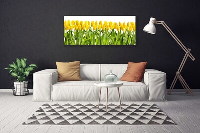 Photo sur toile Tulipes floral jaune vert