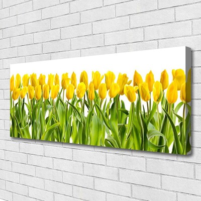 Photo sur toile Tulipes floral jaune vert