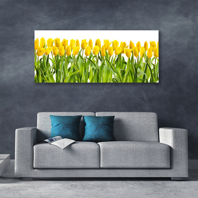 Photo sur toile Tulipes floral jaune vert