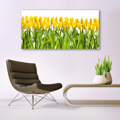 Photo sur toile Tulipes floral jaune vert