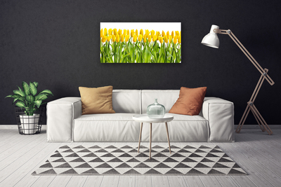 Photo sur toile Tulipes floral jaune vert