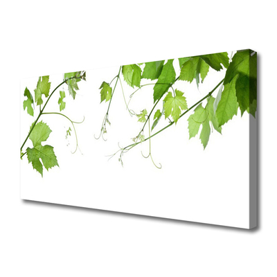 Photo sur toile Branches feuilles floral brun vert