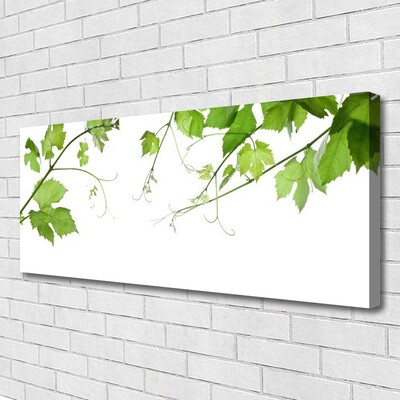 Photo sur toile Branches feuilles floral brun vert