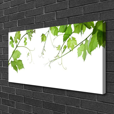 Photo sur toile Branches feuilles floral brun vert