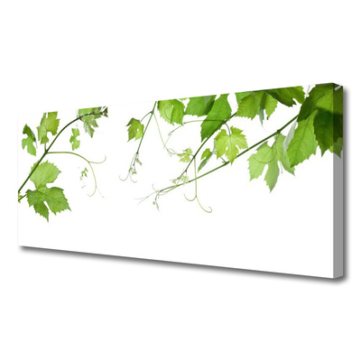 Photo sur toile Branches feuilles floral brun vert