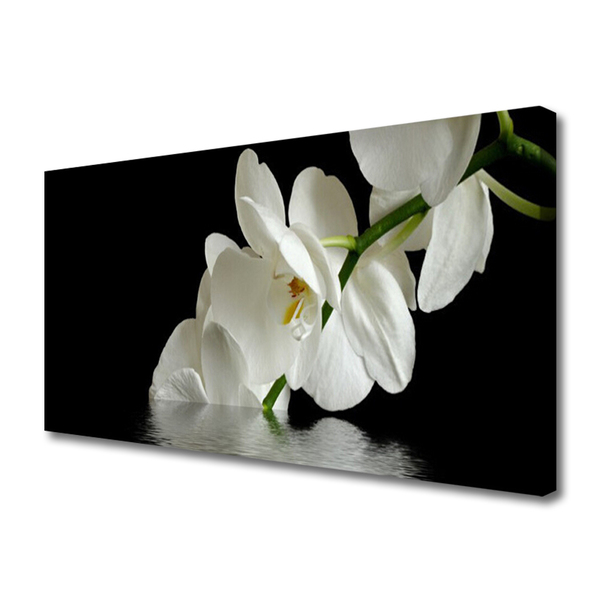 Photo sur toile Fleurs floral blanc