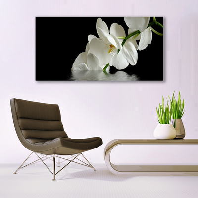 Photo sur toile Fleurs floral blanc