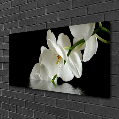 Photo sur toile Fleurs floral blanc