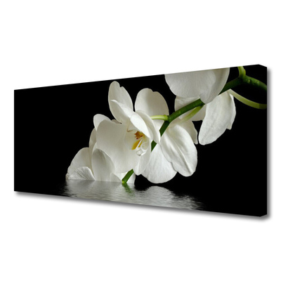 Photo sur toile Fleurs floral blanc