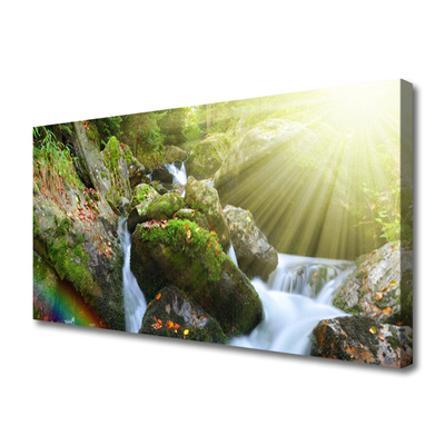 Photo sur toile Cascade arc en ciel nature multicolore