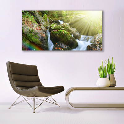 Photo sur toile Cascade arc en ciel nature multicolore