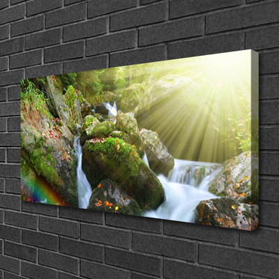 Photo sur toile Cascade arc en ciel nature multicolore