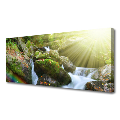 Photo sur toile Cascade arc en ciel nature multicolore