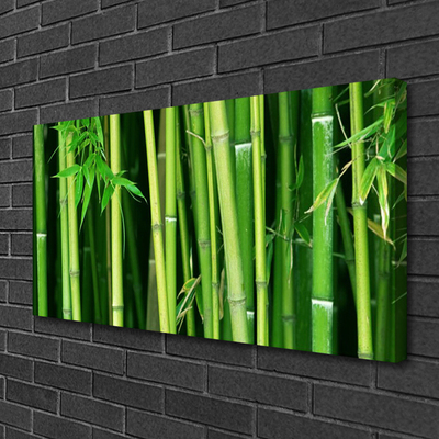 Photo sur toile Bambou floral vert