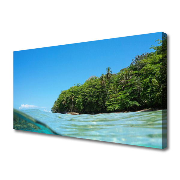 Photo sur toile Mer arbres paysage bleu vert