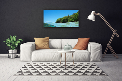 Photo sur toile Mer arbres paysage bleu vert