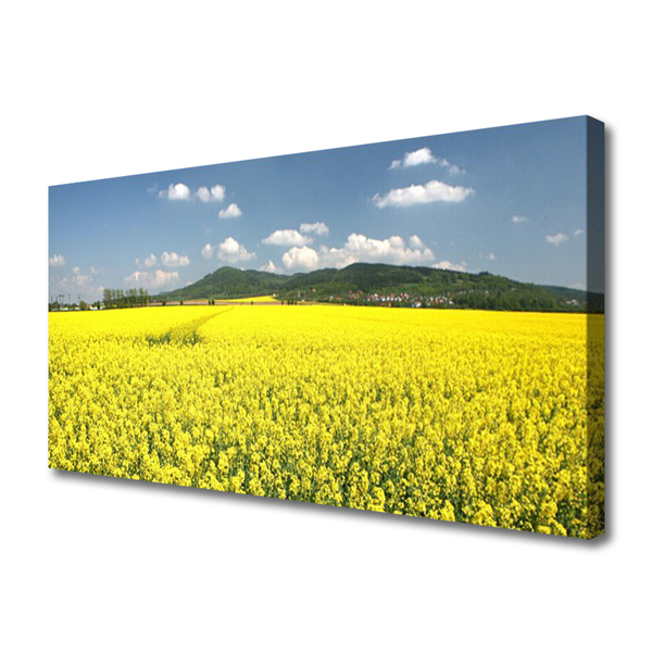 Photo sur toile Prairie nature jaune