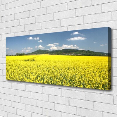 Photo sur toile Prairie nature jaune