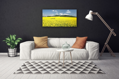 Photo sur toile Prairie nature jaune