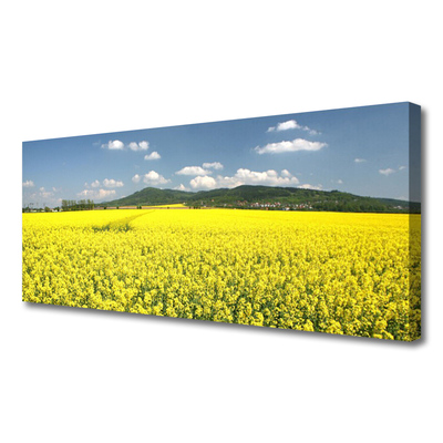 Photo sur toile Prairie nature jaune