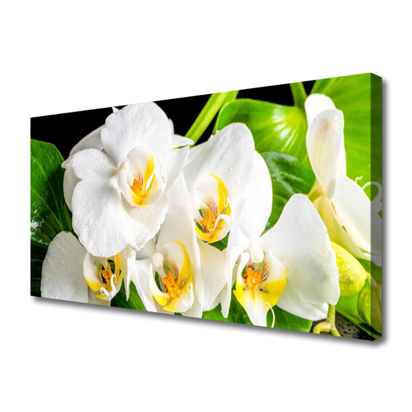 Photo sur toile Pétales floral blanc vert