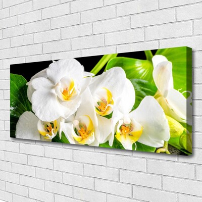 Photo sur toile Pétales floral blanc vert