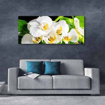 Photo sur toile Pétales floral blanc vert