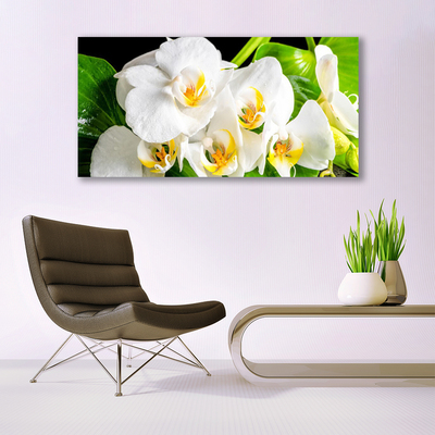 Photo sur toile Pétales floral blanc vert