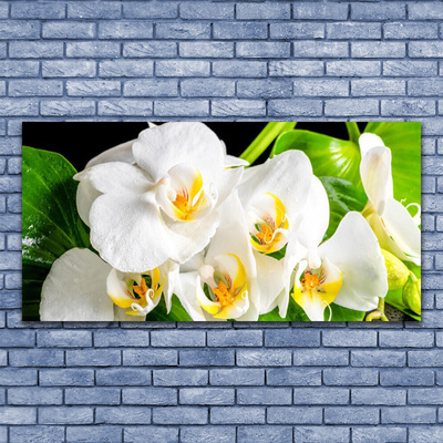 Photo sur toile Pétales floral blanc vert