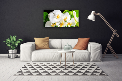 Photo sur toile Pétales floral blanc vert