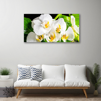 Photo sur toile Pétales floral blanc vert