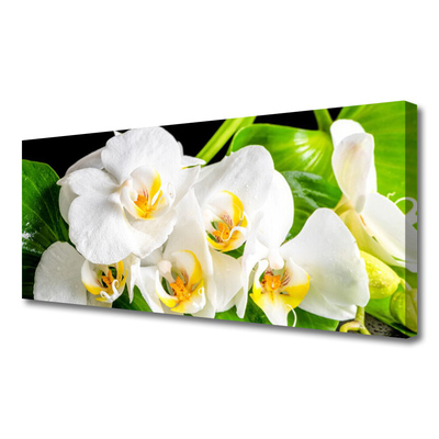 Photo sur toile Pétales floral blanc vert