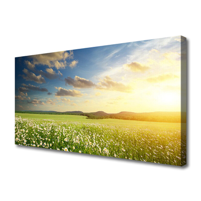 Photo sur toile Fleurs prairie paysage vert blanc