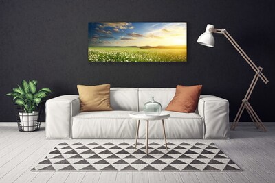 Photo sur toile Fleurs prairie paysage vert blanc